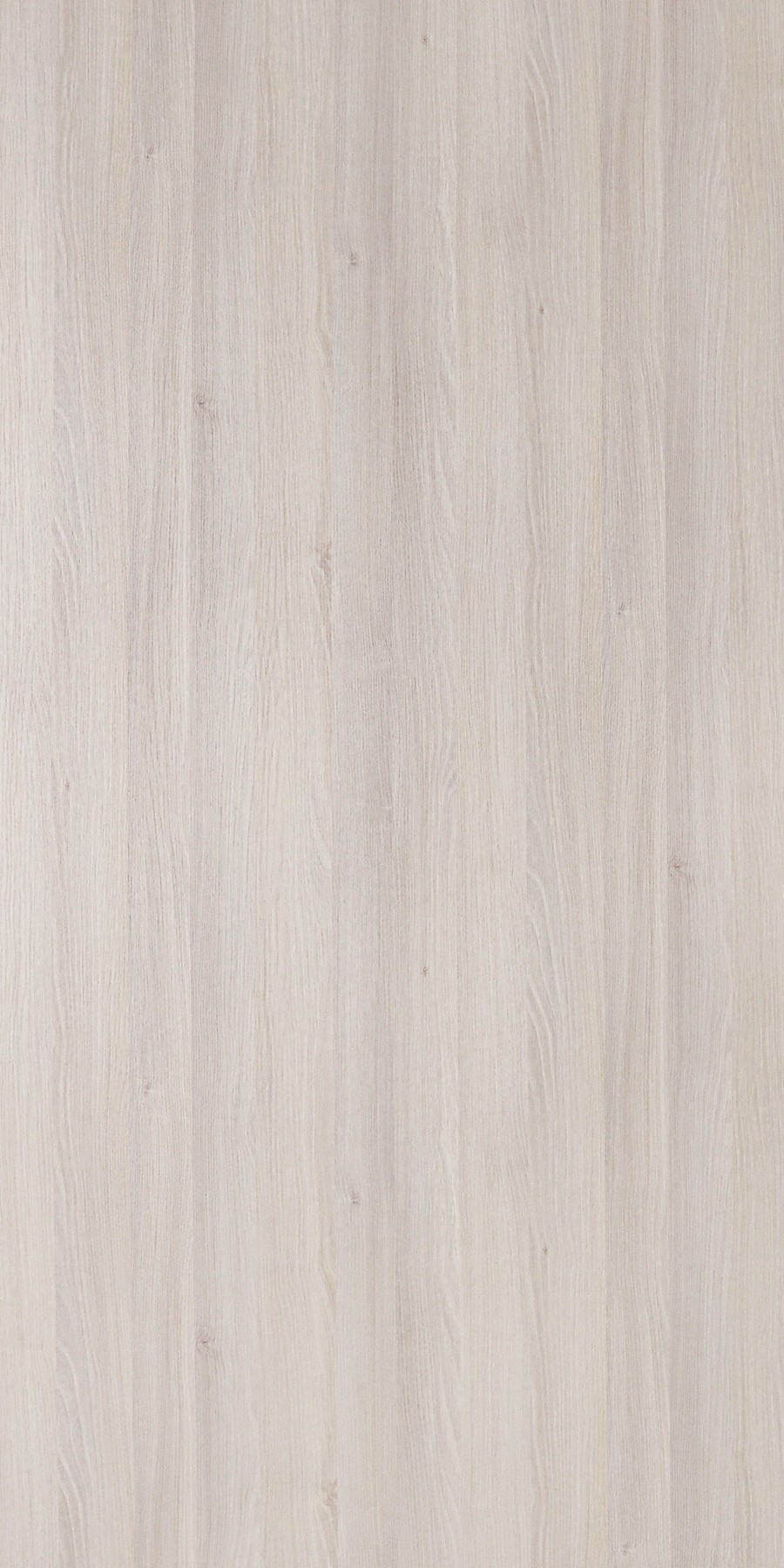 Munich Acacia