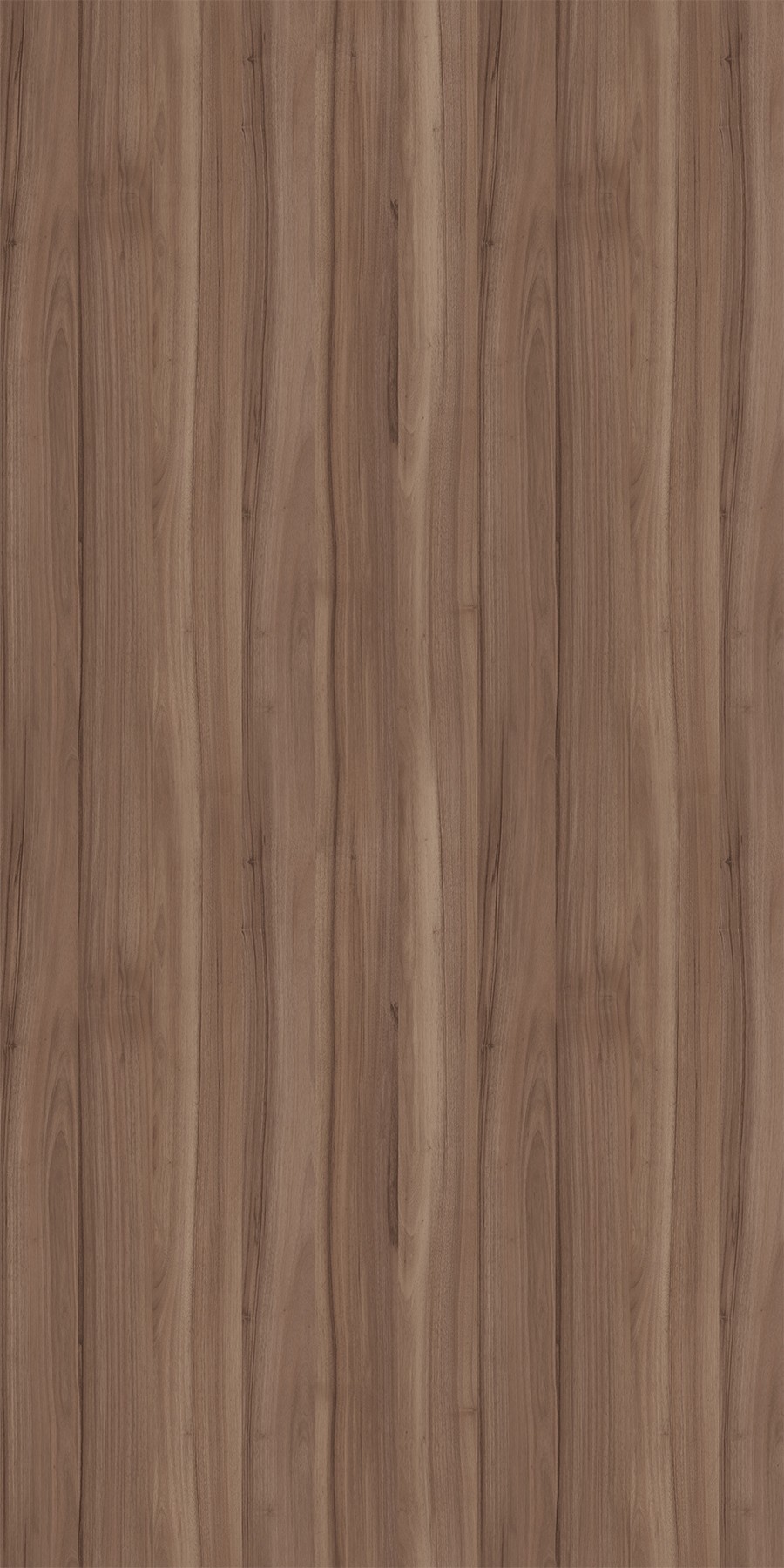 ローズページ Austin Walnut - Greenlam