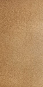 Bronze Metal