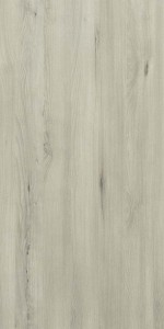 Italian Beech