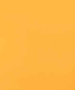 Light Orange