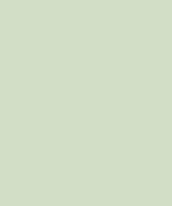 Dutch Green