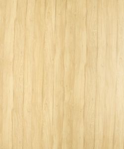 Primeval Oak