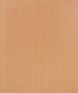 European Walnut