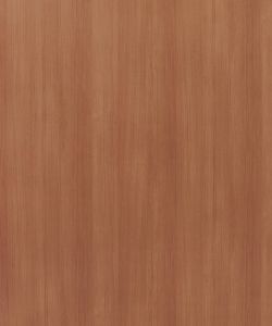 Siam Teak