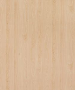 Mangfall Beech