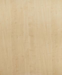 Thansau Maple