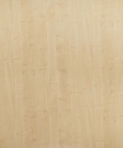 Thansau Maple