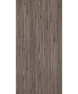 Vienna Beech