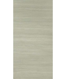 Grigio horizonte