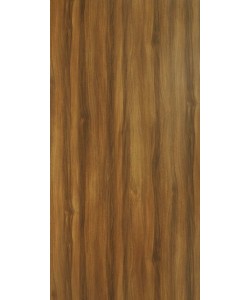 Snuff Elm