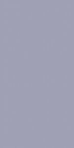 Bluish Grey