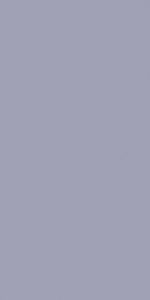 Bluish Grey