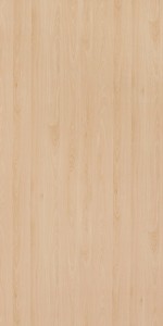 Mangfall Beech