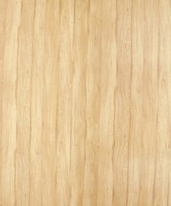 Primeval oak