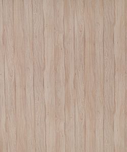 Primeval Oak