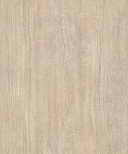 Auckland Oak