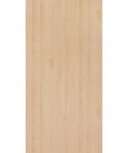 Mangfall Beech
